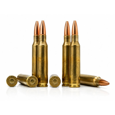 Winchester Ammunition, .223 Remington (5.56x45mm), 55 gr, FMJ, Each 
