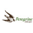 Peregrine (1)